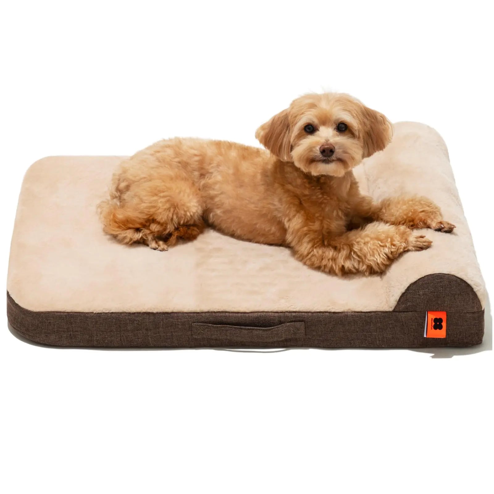 Pawvè OrthoCloud™ Bed
