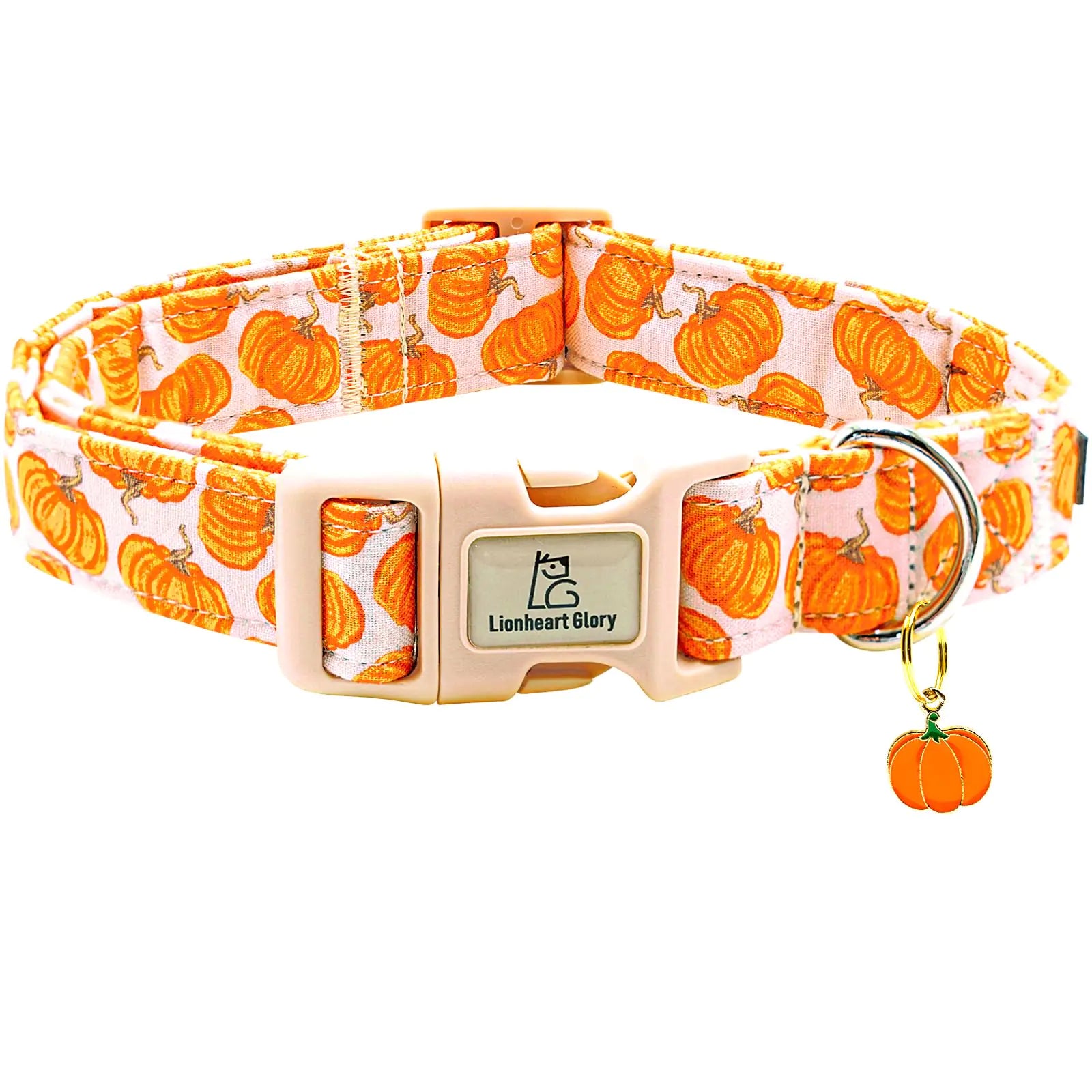 Pawvè Pumpkin Glow Reflective Dog Collar