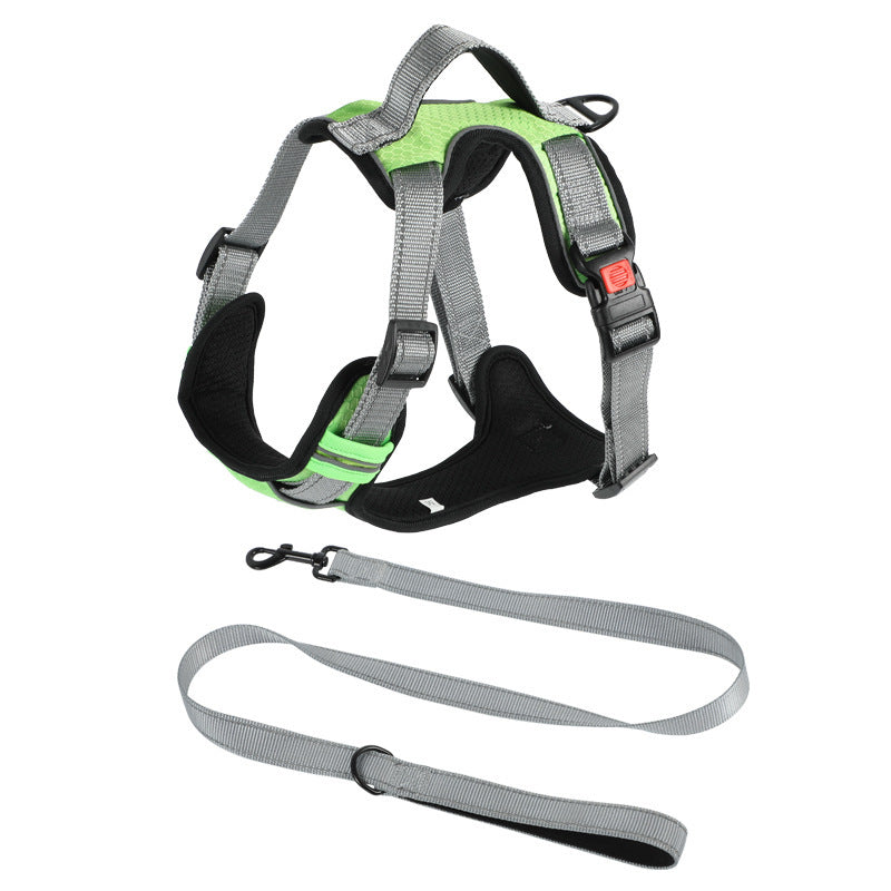 Hand Holding Dog Chest Strap Vest Rope