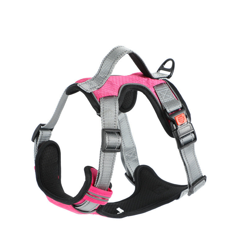 Hand Holding Dog Chest Strap Vest Rope