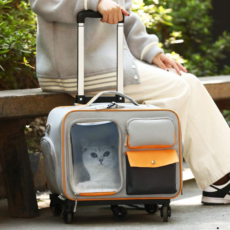 Anti-Stress Cat Going Out Pet Backpack