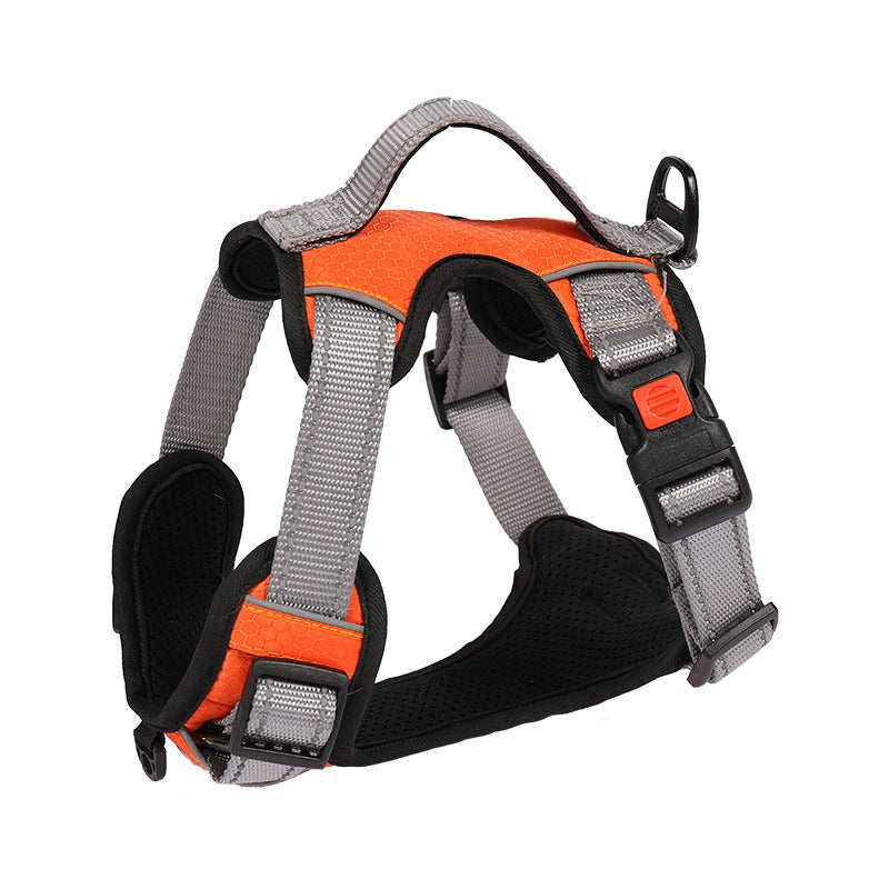 Hand Holding Dog Chest Strap Vest Rope