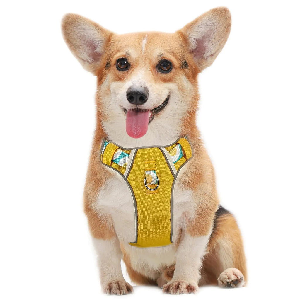 Pawvè No-Pull Comfort Harness™