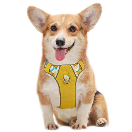 Pawvè No-Pull Comfort Harness™ - Pawvè