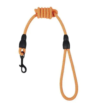 Pawvè ComfortGrip Woven Nylon Dog Leash