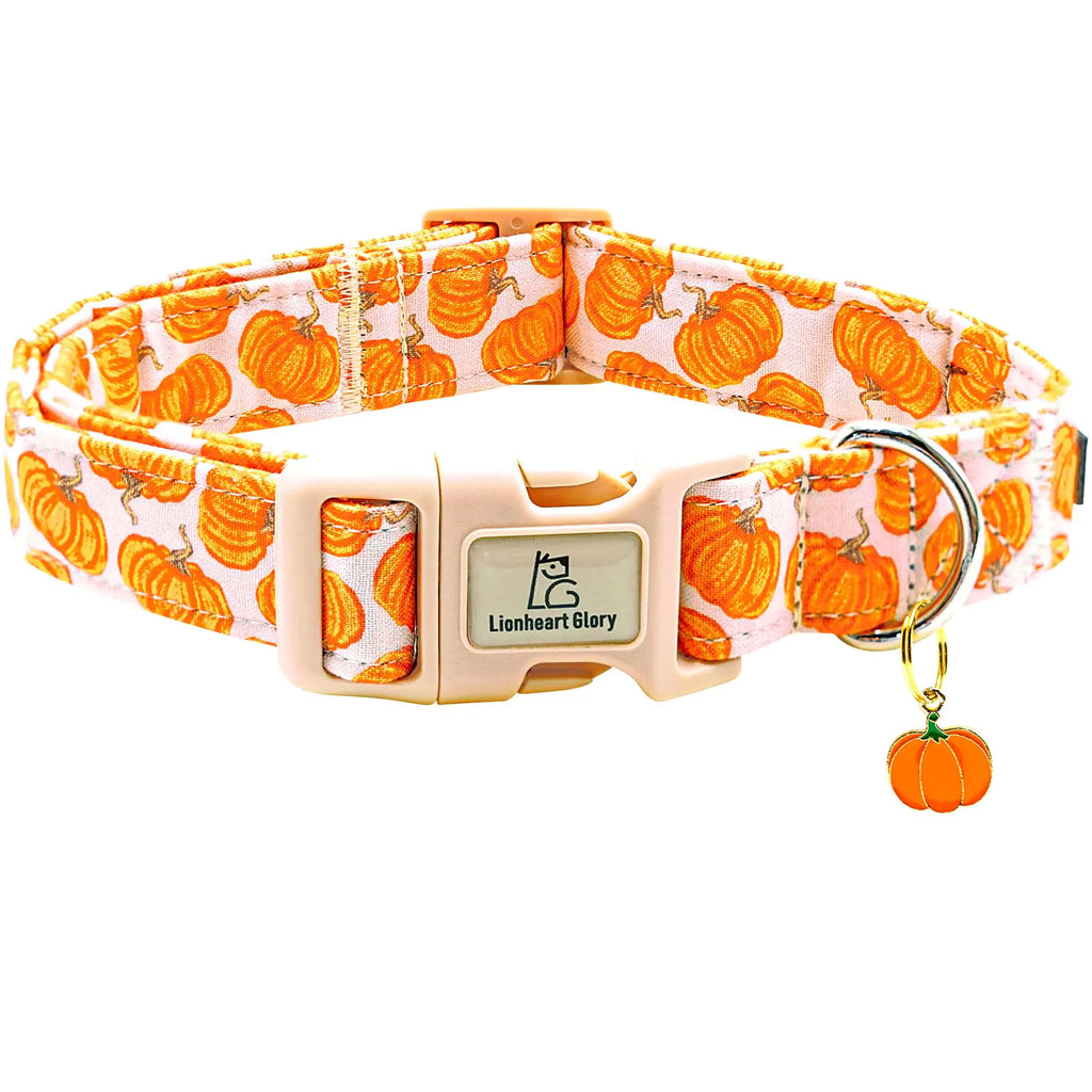 Pawvè Pumpkin Glow Reflective Dog Collar