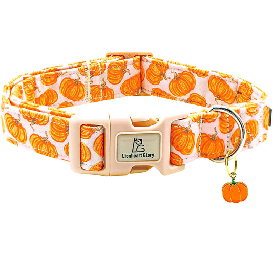 Pawvè Pumpkin Glow Reflective Dog Collar - Pawvè