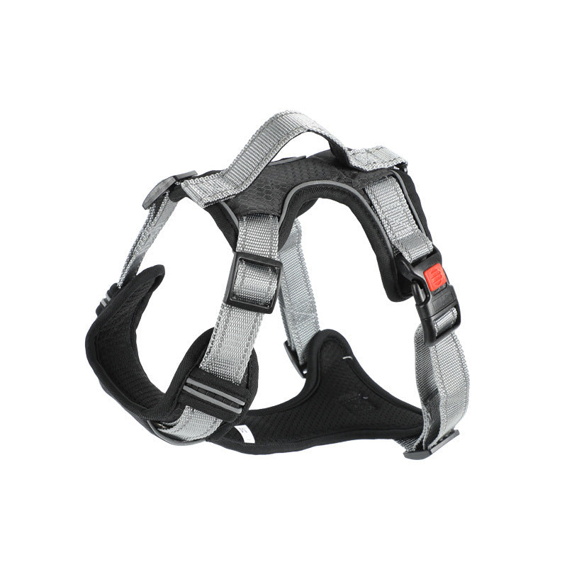 Hand Holding Dog Chest Strap Vest Rope