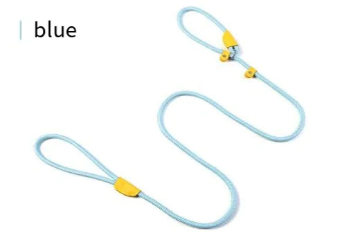 Pawvè ComfortGrip Woven Nylon Dog Leash