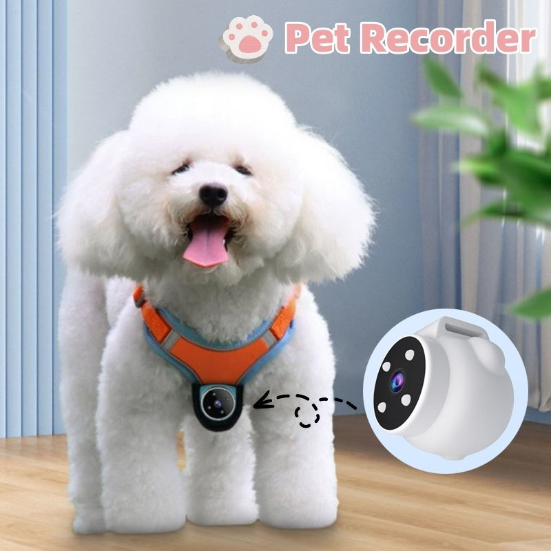 Angle Motion Recording Camera Pet Tracker Collar